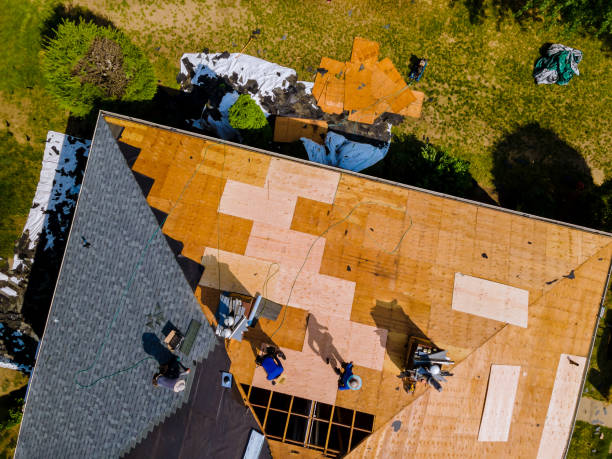 Best Storm Damage Roof Repair  in Avondale, LA
